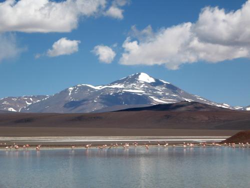 laguna brava