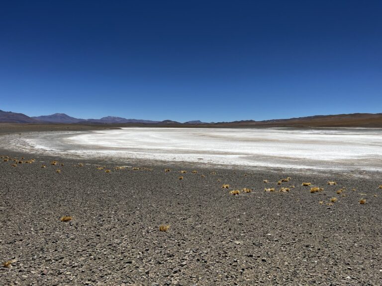 Patagonia Lithium