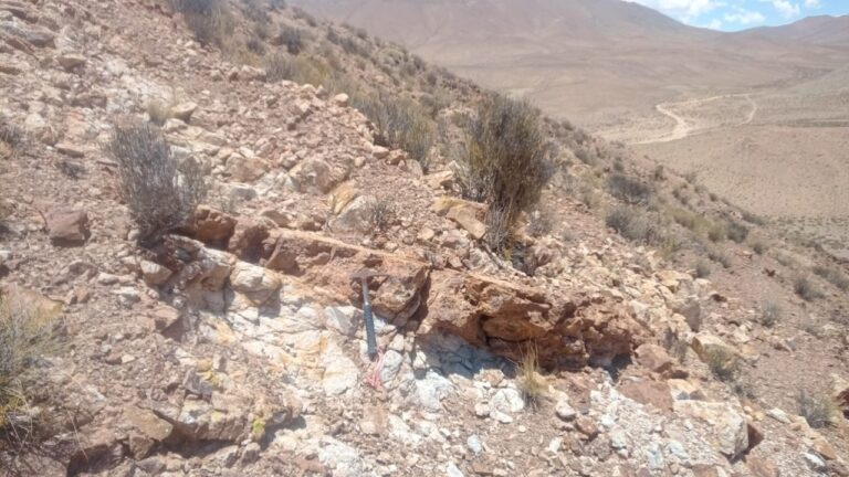 Pampa Metals