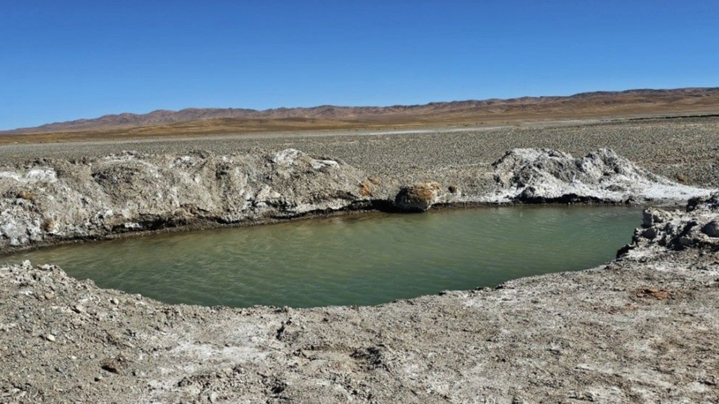 Patagonia Lithium