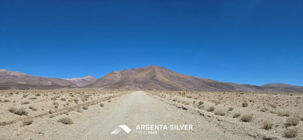 Argenta Silver