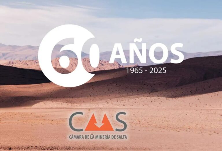 Camara minera de salta