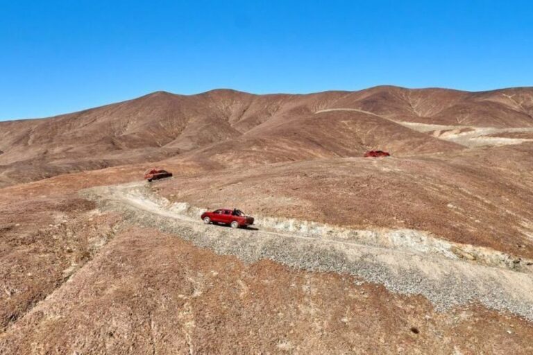 Proyecto Los Sapitos