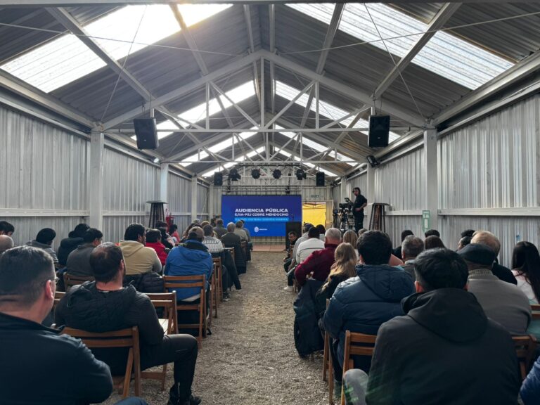 Audiencia Publica PSJ Cobre Mendocino