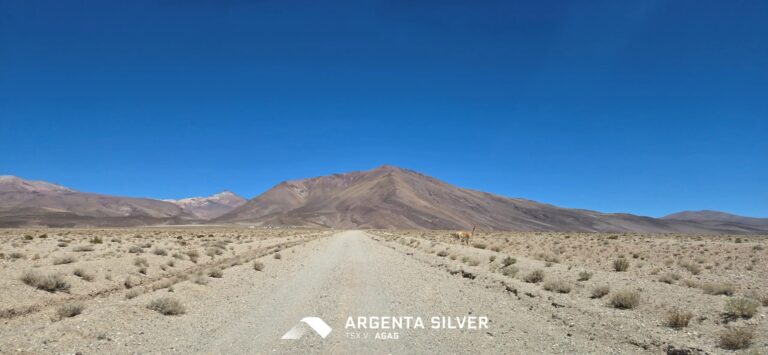 Proyecto El Quevar