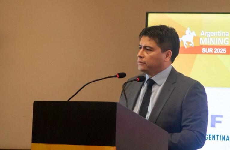 Argentina Mining Sur 2025
