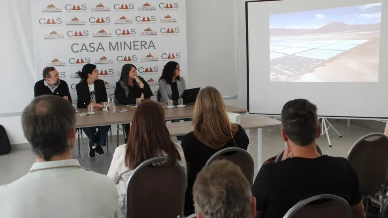 Litio en Salta