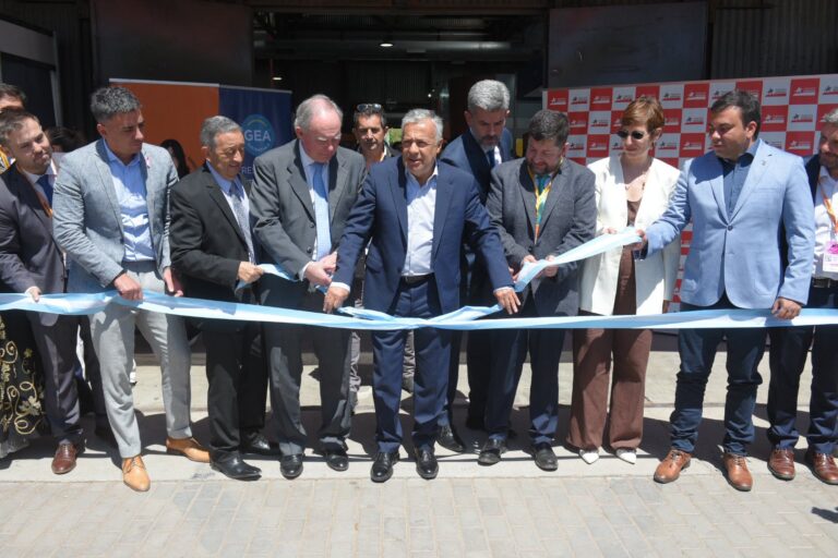 Argentina Mining 2025