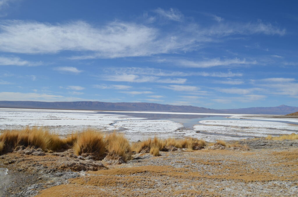 Argentina Lithium