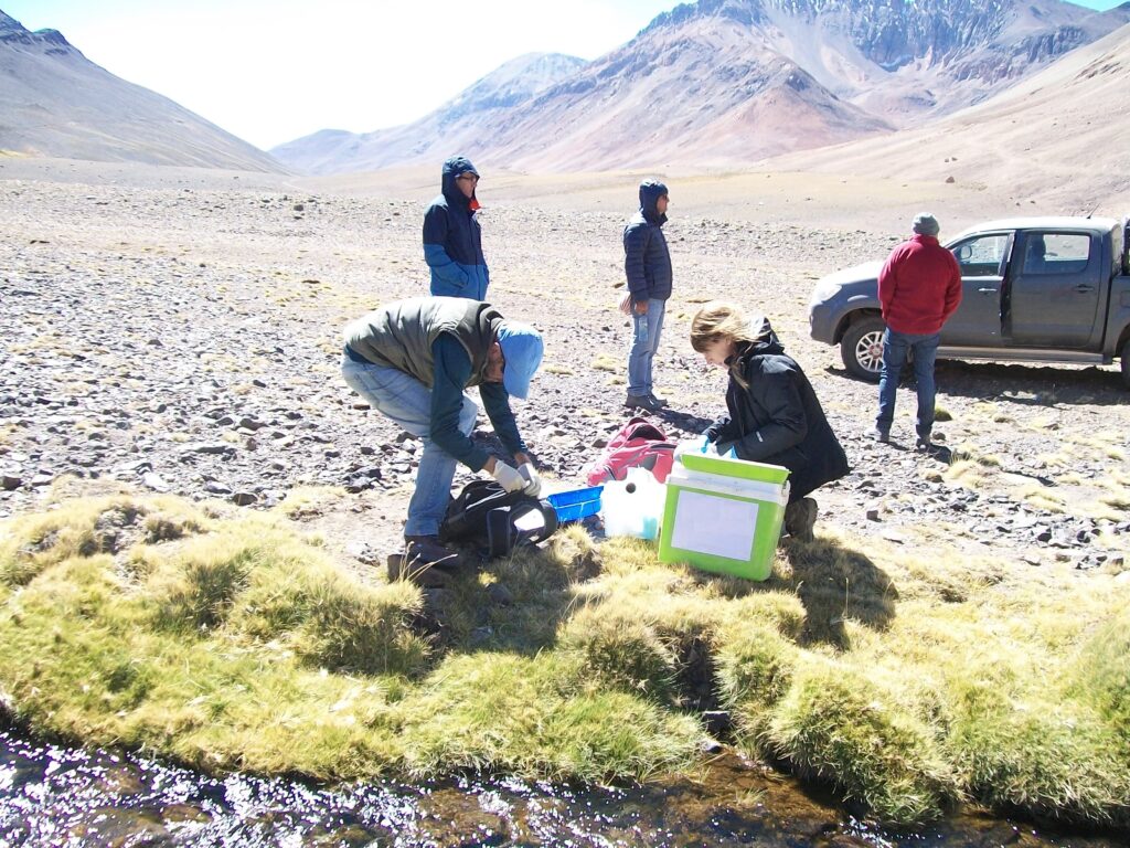 SF SERVICIOS INTEGRALES