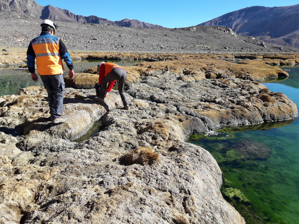 SF SERVICIOS INTEGRALES