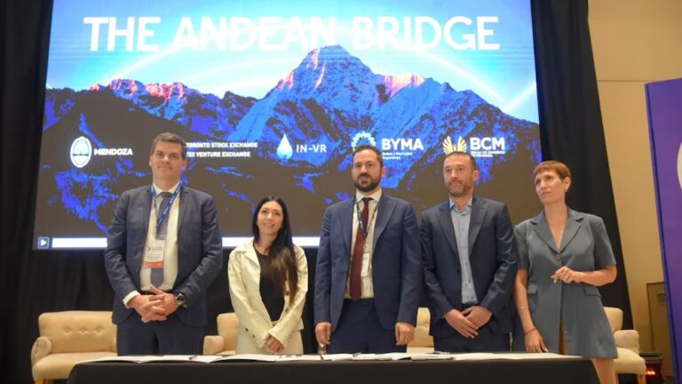 Puente Andino