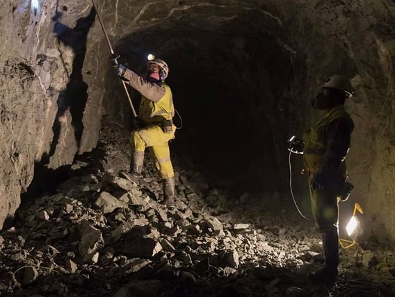 Empleo en Santa Cruz