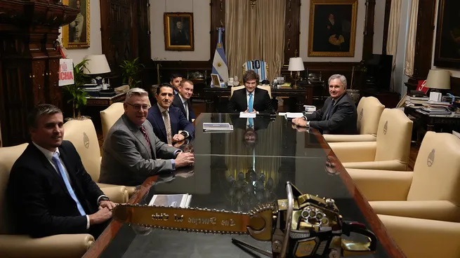 Proyecto Vicuña