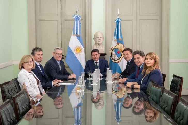 Vicuña