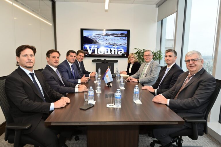Proyecto Vicuña