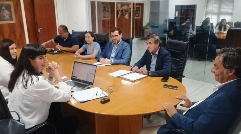 mineria en salta