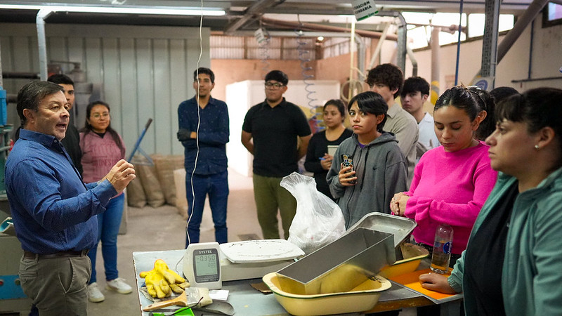 Alrededor de 60 jóvenes de Jáchal, Sarmiento, Calingasta, Valle Fértil e Iglesia se reunieron para transformar la teoría de sus clases en aulas híbridas en experiencia real sobre el Procesamiento de Minerales.

La educación en San Juan sigue rompiendo barreras geográficas. A través del sistema de aulas híbridas y la sinergia entre los ministerios de Minería y Educación, junto a la Facultad de Ingeniería de la Universidad Nacional de San Juan, estudiantes de cinco departamentos mineros vivieron dos jornadas intensas de trabajo práctico en la Tecnicatura de Procesamiento de Minerales. Durante estos días, alumnos de Jáchal, Valle Fértil, Calingasta, Iglesia y Sarmiento se dividieron en grupos para realizar un recorrido integral que incluyó prácticas de las materias que integran el cursado.

"Hemos recibido a cerca de 60 estudiantes organizados en grupos durante dos días para asegurar que todos aprovecharan la experiencia al máximo. Contamos con la participación de chicos que viajaron desde Jáchal, Sarmiento, Calingasta, Valle Fértil e Iglesia. Lo más valioso de este encuentro es que realizan una práctica integral: a pesar de ser una sola jornada de trabajo, cada etapa está directamente vinculada a las materias que vienen cursando de manera virtual o a distancia. Es el momento justo donde la teoría finalmente se encuentra con la práctica en el territorio", precisó Regina Bertero, jefa del Departamento de Minas de la UNSJ, área que recibió a los alumnos para las prácticas.