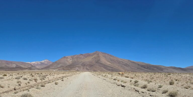Proyecto El Quevar