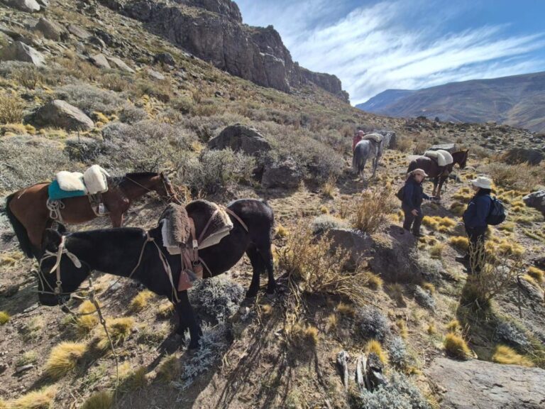 Dirección de Minería de Mendoza