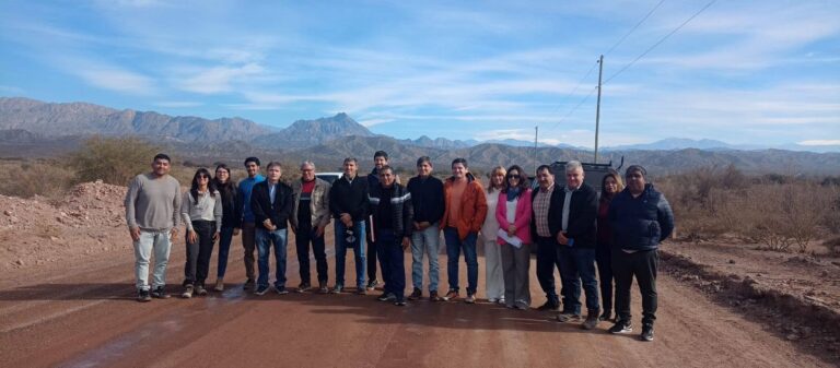 Proyecto Vicuña