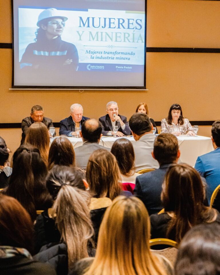 Mineria en Catamarca