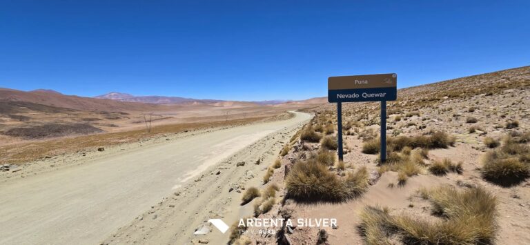Argenta Silver