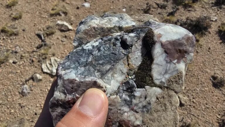 Golden Goose Resources