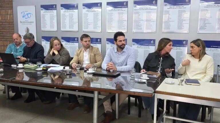 Proyecto de Litio Don Luis