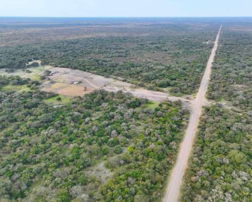 tierras raras