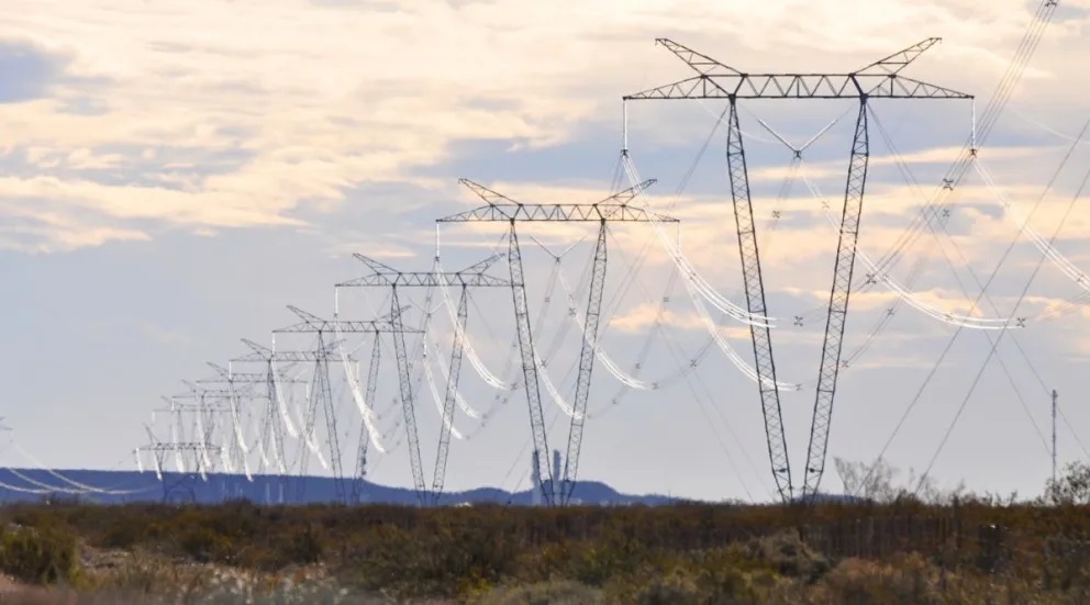 Vicuña