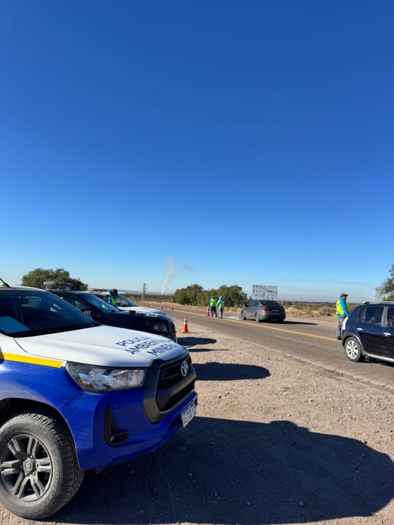 Policía Ambiental Minera