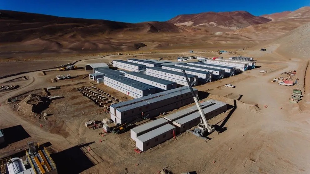 Proyecto Vicuña
