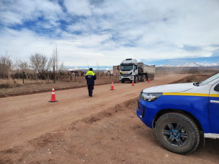 Policia Ambiental Minera